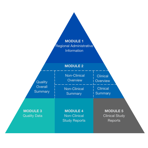 CTDTriangle_FiveModulesofCTD