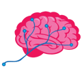 EXTEDOpulse_brain_500x500