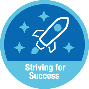 Striving for Success