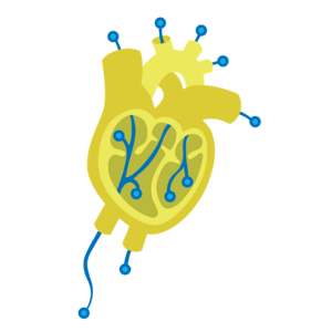 EXTEDOpulse_heart_500x500