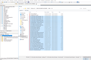 extedo_ectdtemplates_screenshot_1200x800_auto-c