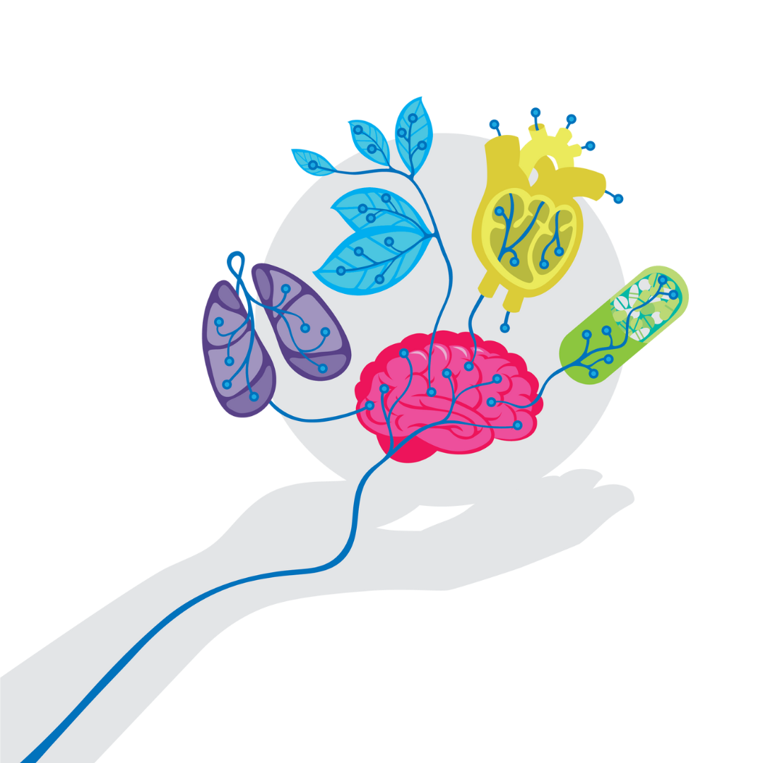 EXTEDOpulse_BusinessHubs_Body_Organs_Connected