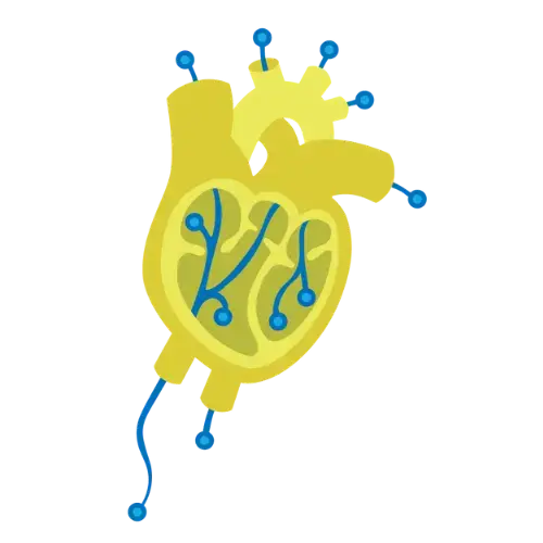 EXTEDOpulse_heart_500x500