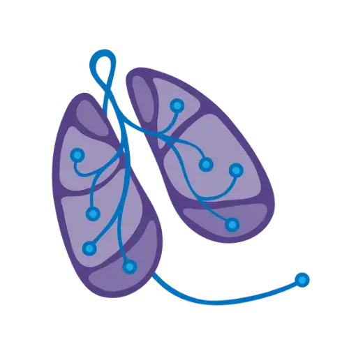 EXTEDOpulse_lung_500x500