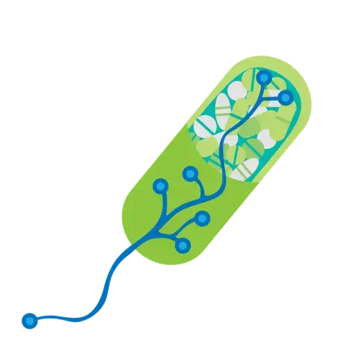 EXTEDOpulse_pill_500x500